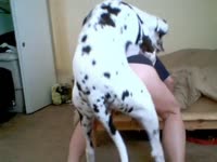 Dog banging a whore's big ass on the bed